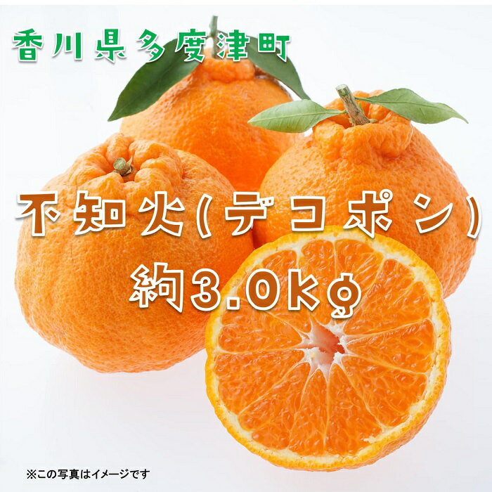 【ふるさと納税】不知火(デコポン)　約3kg【令和7年2月中旬より発送】〔提供：株式会社ことひら街道〕 しあわせ製麺 甘い ジューシー 季節限定