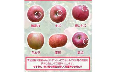 令和8年産 山形県産 サンふじりんご＜訳あり＞ 約5kg 13玉～25玉 数量限定 林檎 リンゴ フルーツ 果物 くだもの 家庭用 F4A-1004
