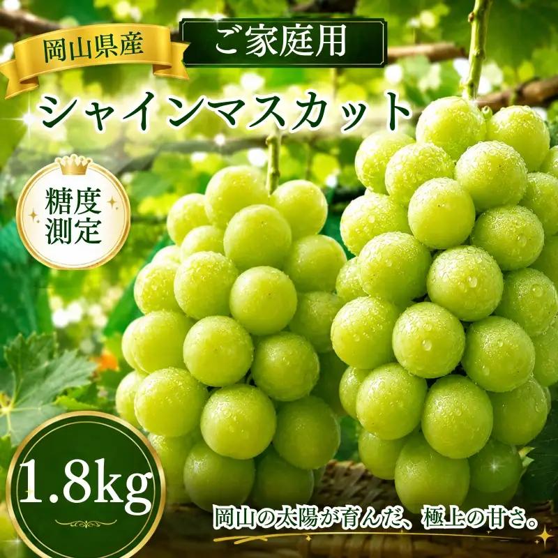 【2026年先行予約】岡山県産シャインマスカット ご家庭用 1.8kg~ 糖度測定 / ぶどう 岡山 真庭市 シャインマスカット 果物 贈答 人気 産地直送 国産 数量限定【bfyd001】 