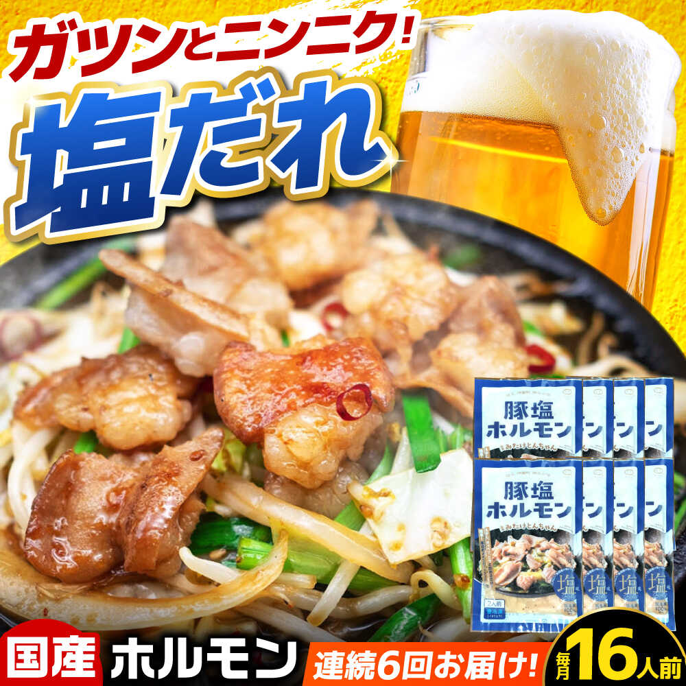 【ふるさと納税】【6回定期便】岐阜県産豚もつの鉄板焼き「元祖みたけとんちゃん」豚塩味（16人前） / モツ もつ 白もつ ホルモン / 御嵩町 / 藤よし[AVAA080]