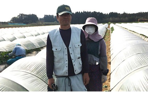 【先行予約】安藤さんちの『エリザベスメロン』約4ｋｇ（6～8玉）＜1.2-38＞2026年発送 果物 くだもの フルーツ 宮崎県西都市