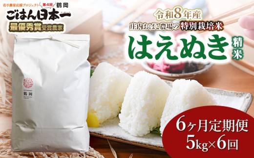 【令和8年産 新米】【定期便6ヵ月】庄内おばこ農場の特別栽培米 はえぬき 精米 5kg(5kg×1袋)×6ヶ月 山形県鶴岡市 K-837 | 米 こめ コメ ブランド米 庄内米 ごはん ご飯 美味しい 国産 おにぎり 農家直送 おすすめ 人気 お取り寄せ 返礼品