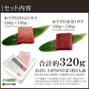 【定期便/隔月/計3回】本マグロ中トロ赤身セット320g（計960g）【DG013-tk3】