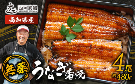 【 うなぎの蒲焼き 】国産 うなぎの蒲焼 480g ( 120g × 4尾 ) 