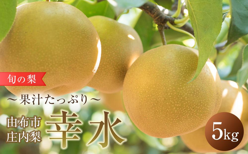 
            旬の梨 幸水 5kg 庄内梨 大塚梨園＜2025年8月中旬以降発送＞ | 梨 なし 5kg フルーツ 果物 お取り寄せ 国産 送料無料 おすすめ 数量限定 期間限定 ゆふいん 由布院 湯布院 由布市 大分県 九州 FT002
          