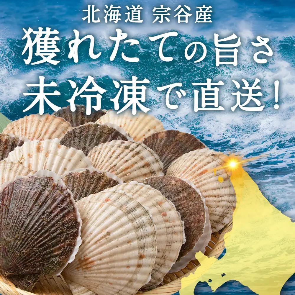 【先行受付】宗谷漁協発!産地直送!活ほたて約3kg(13～15枚入)刺身 海鮮【配送不可地域：離島・沖縄県】
