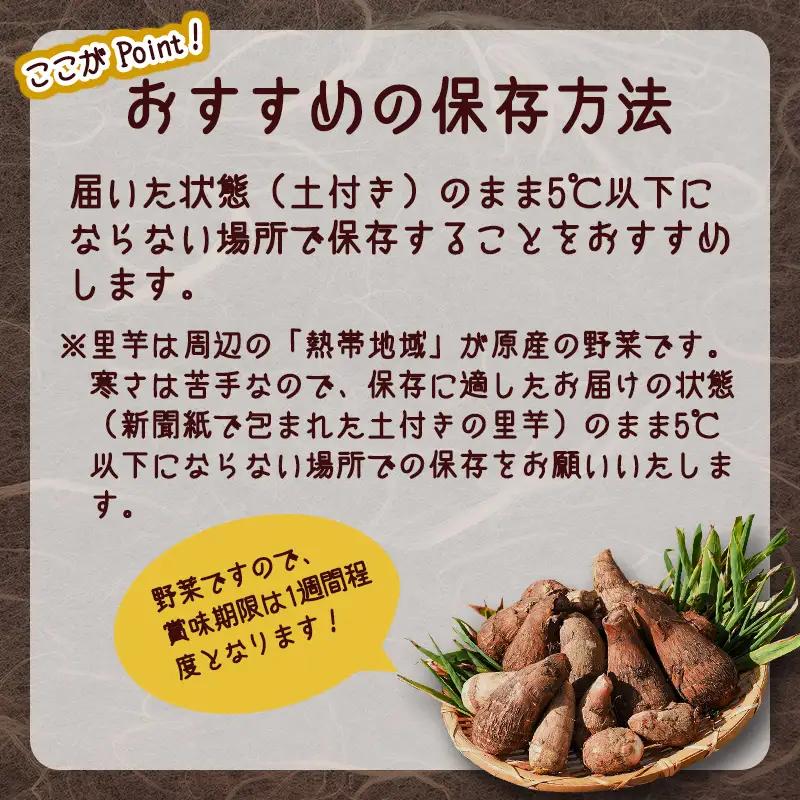 令和8年産 やまがた伝統野菜 「子姫芋（里芋）」5kg《土付き》 2026年産 山形県産 【2026年11月中旬頃～2027年3月頃発送予定】　018-B-MM038