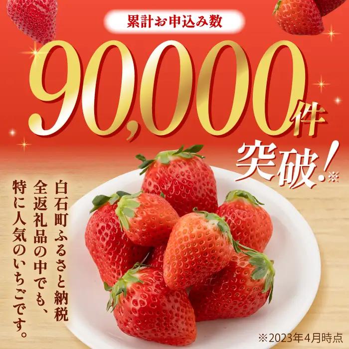 【先行予約】【2027年1月以降発送】いちご さがほのか 900g / いちご [IAA024]