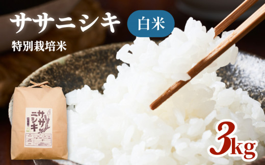 米 白米 ササニシキ 3kg 特別栽培米 お米 精米 少量 家庭用 有機栽培 栽培期間中 農薬不使用 化学肥料不使用 コメ こめ ささにしき 宮城県 石巻 石巻市