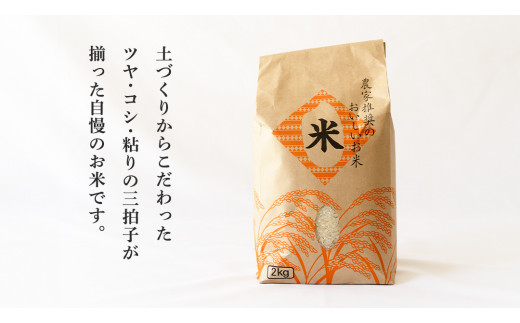 生産者のこだわり！たまごかけ ご飯セット (上ホ醤油（株）ぶっかけ卵に醤油150ml×2 たまご 32個 産直米 2kg) 産地直送 たまご 玉子 生卵 鶏卵 タマゴ 平飼い 卵 非遺伝子組換え [B