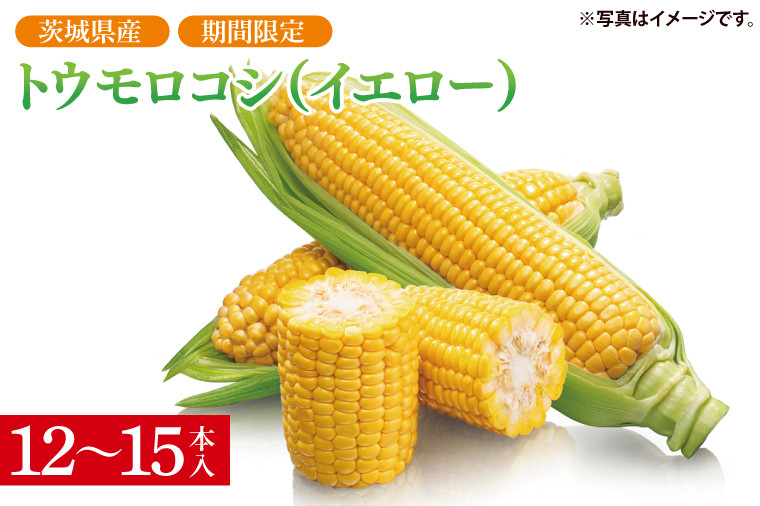 
                  【先行予約】トウモロコシ（イエロー）（12～15本入）【山崎農園】（2025年6月上旬～7月下旬頃にお届け）【とうもろこし コーン 甘い おいしい 茨城県 阿見町】（70-04-1）
                
