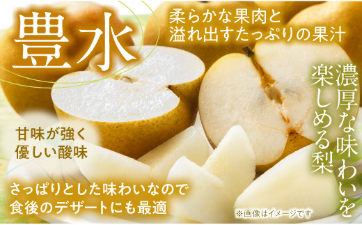 完熟の一番よい状態の梨を収穫します。玉数のご指定はできかねますので、ご了承ください。