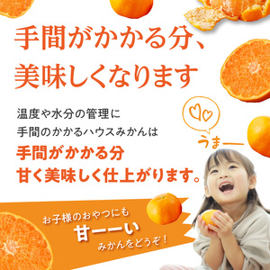 ★予約受付★【2025年6月以降配送】佐賀県産ハウスみかん　約1.5kg【件数限定】【A097】