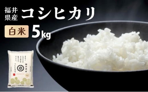 福井県産 コシヒカリ 精米 5kg 【米 コメ お米 精米 白米 玄米 ご飯 飯 こしひかり ブランド米 国産 お中元 お歳暮 ギフト】[095-a002] 