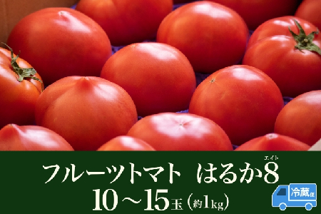 【ふるなびWEEK対象】【2026年発送】 糖度8度以上 フルーツトマト はるか8（エイト） 10～15玉 トマト 野菜 夏 野菜 旬 甘い 濃厚 果物 フルーツ 高糖度 新鮮 産地直送 北海道 美深
