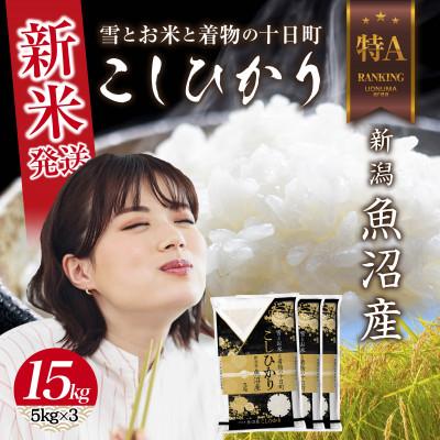 ふるさと納税 十日町市 令和7年産 新潟県 魚沼産 コシヒカリ 15kg (お米の美味しい炊き方ガイド付き)