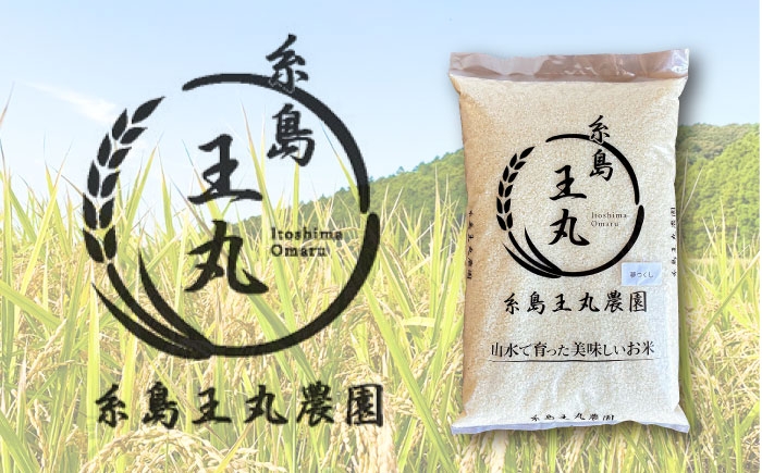 綺麗な山の水で育ったおいしいお米 