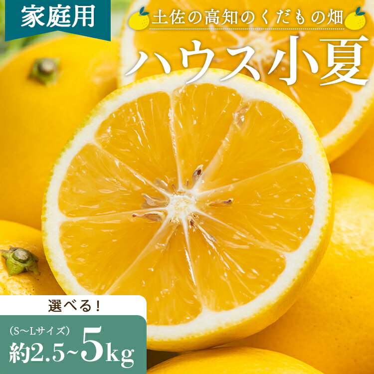 【ふるさと納税】【2026年出荷分 先行予約】【訳あり】ハウス小夏（日向夏）約2.5kg/約5kg（家庭用）- 選べる 訳アリ キズ ニューサマーオレンジ 果物 みかん フルーツ 柑橘 こなつ 土佐の高知のくだもの畑 高知県 香南市 レビューキャンペーン ゆずあんぱん風おまんじゅう