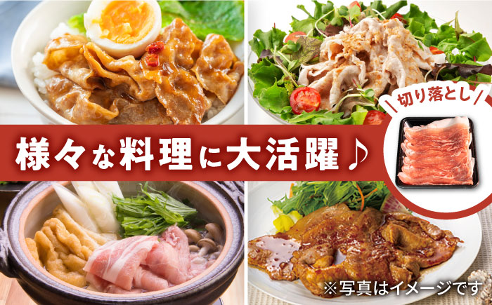 【3回定期便】若楠三元豚 切り落とし 1kg（250g×4パック）/ナチュラルフーズ [UBH074]