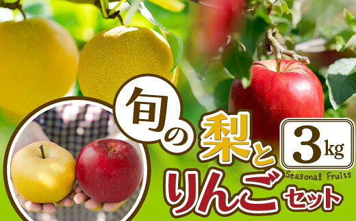 【ふるさと納税】【先行予約】【数量限定・期間限定】陽気な母さんの店 R8年産 旬の梨とりんご詰合（3kg） 50P3426 なし リンゴ 林檎 詰合せ セット 大館市 秋田県 ギフト フルーツ 果物 和梨 幸水 南水 ふじ 紅あかり 王林