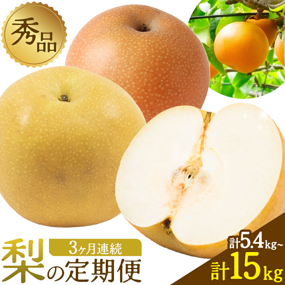 【ふるさと納税】秀品 3ヶ月連続 梨の定期便 選べる 内容量 計5.4kg 計9kg 計15kg 日本フルーツ株式会社《8月上旬-10月末頃出荷》熊本県 荒尾市 梨 なし 豊水梨 秋月梨 新高梨 果物 フルーツ 定期便