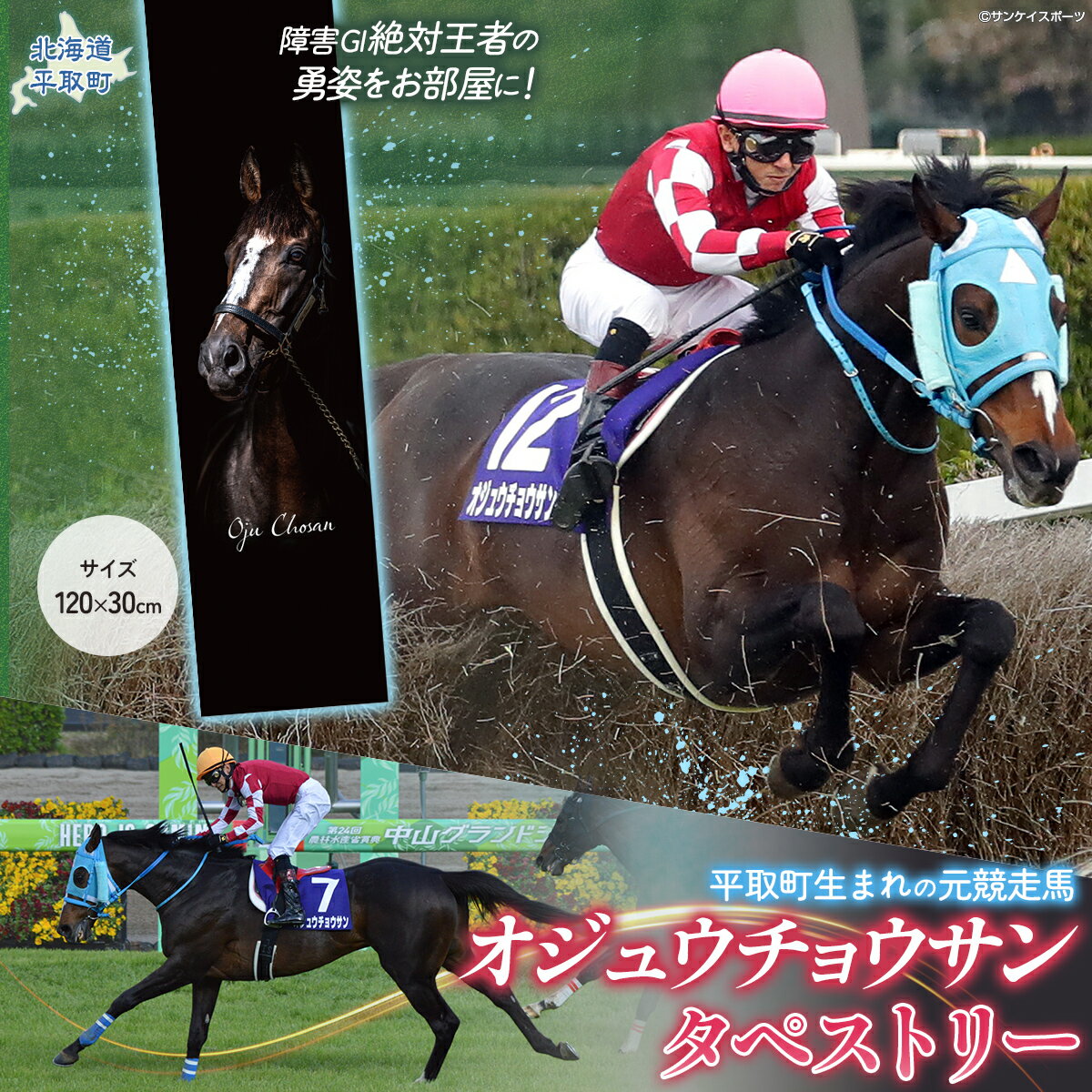 【ふるさと納税】【オジュウチョウサン】タペストリー【ふるさと納税 人気 おすすめ ランキング 馬 競馬 競走馬 オジュウチョウサン 北海道 平取町 送料無料】 BRTV016