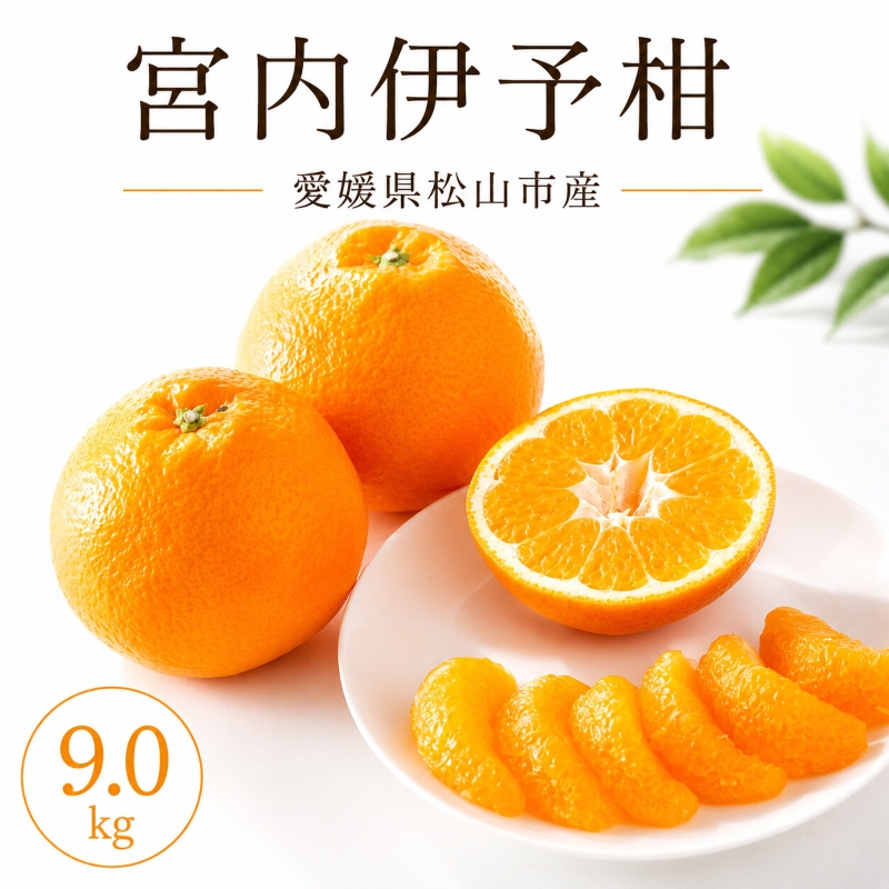 【2027年2月上旬より順次発送】伊予柑 約9.0kg 家庭用 愛媛県産 みかん