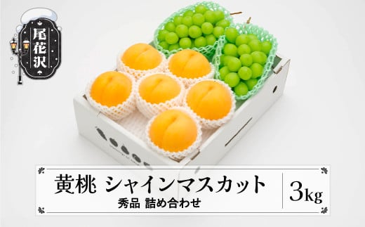 
            先行予約 有袋黄桃  シャインマスカット 秀品 詰め合わせ 計3kg 令和8年産 2026年産 山形県産 送料無料 もも ぶどう 果物 フルーツ  セット※沖縄・離島への配送不可 ns-fsosx3
          