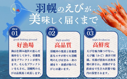 超速リキッド凍結でドリップゼロ！北海道羽幌産甘えび・ぼたんえびセット計1kg