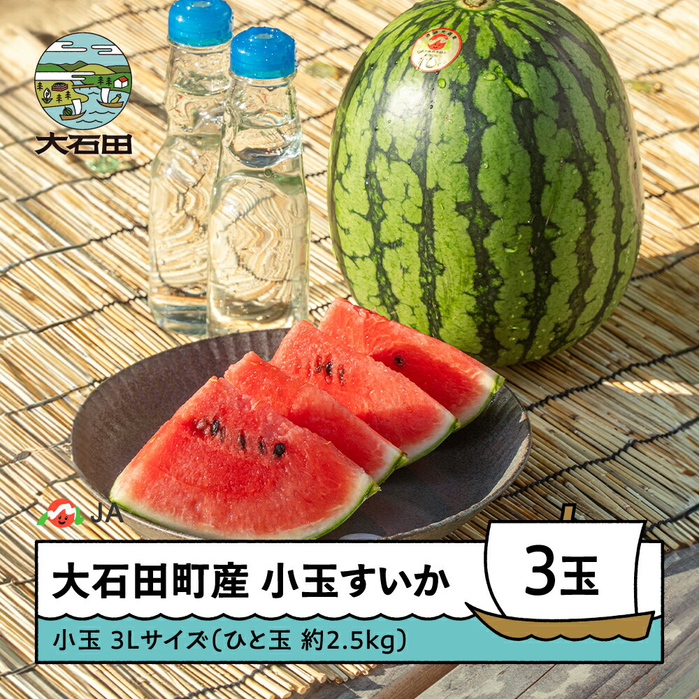 【ふるさと納税】小玉 すいか 3L×3玉入り 2026年産 令和8年産 ひとりじめ または ピノガール 送料無料 スイカ 大石田 ja-sukoa