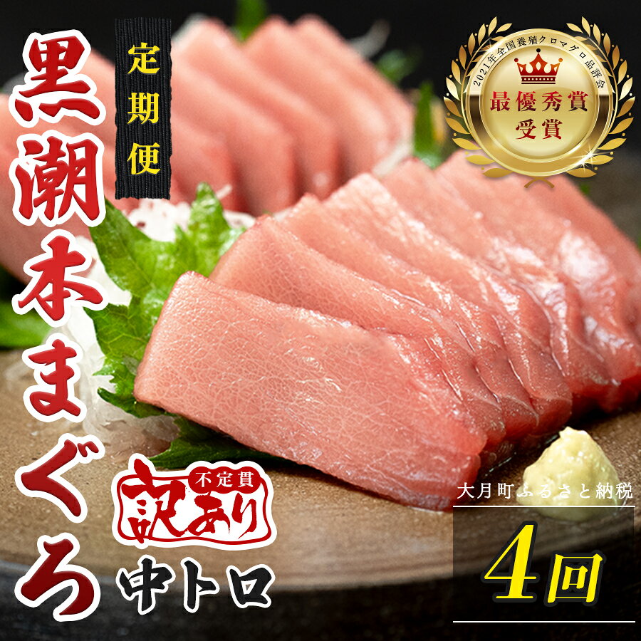 【ふるさと納税】 訳あり 不定貫 定期便 4回 国産 養殖本マグロ 中トロ 毎回120g×4回 黒潮本まぐろ 最優秀賞受賞 4ヶ月 4か月 柵 刺身用 本マグロ 本鮪 鮪 まぐろ お刺身 さしみ トロ 海鮮丼 漬け丼 手巻き寿司 まぐろ丼 冷凍 3万円