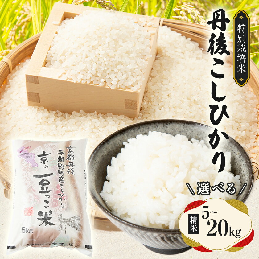 【ふるさと納税】【令和7年産米】京都府与謝野町産 丹後コシヒカリ 精米5kg　特別栽培米 京の豆っこ米【1713757】
