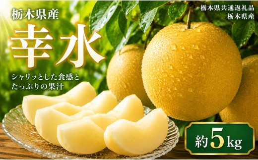 【2027年先行予約】訳あり 梨 幸水 約5kg | 【栃木県共通返礼品】梨 なし ナシ 新品種 先行予約 大粒 新鮮 甘い 美味しい 果物 くだもの フルーツ ふるーつ 共通返礼品 フルーツ デザート 栃木県 那珂川町