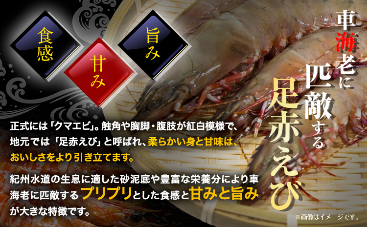 紀州和歌山産天然足赤えび 540g×2箱(270g×4パック) 化粧箱入 魚鶴商店《11月上旬-2月上旬頃出荷》和歌山県 日高川町 足赤えび えび エビ（F-1)