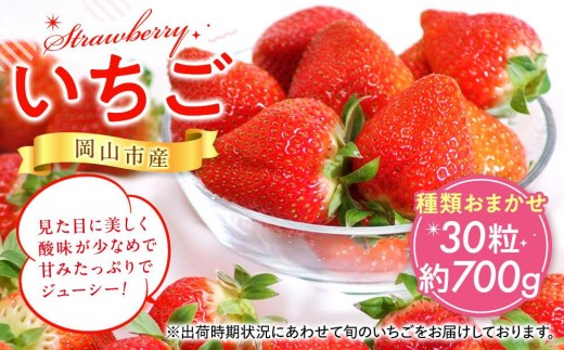 岡山県産いちご 30粒（約700g）種類おまかせ【2026年12月以降発送】