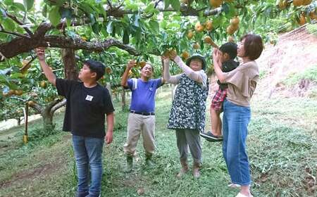 九重町産 梨 約2.7kg 豊水 新高 果物 フルーツ 大分県産 【2025年9月上旬-10月上旬発送予定】