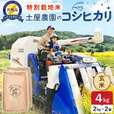 ふるさと納税 佐渡市 【新米予約】令和8年産 佐渡島産コシヒカリ 玄米4kg 土屋農園 農家直送 特別栽培米