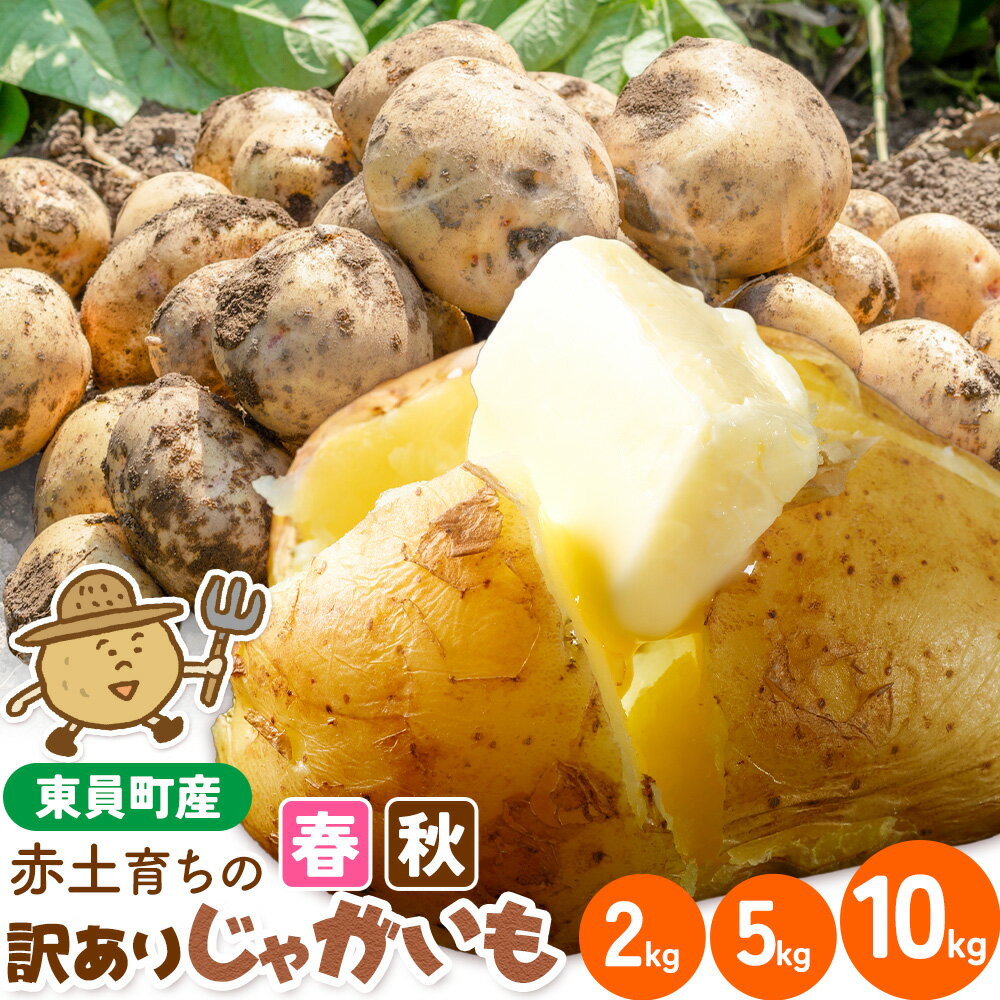 【ふるさと納税】赤土育ちの訳ありじゃがいも 東員町産 選べる 約2kg 約5kg 約10kg 《出荷時期をお選びください》三重県 東員町 ジャガイモ じゃが芋 芋 送料無料 野菜 根菜 規格外 不揃い 春じゃが 秋じゃが