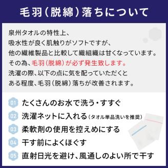 【泉州タオル】吸水力と肌触りが自慢のデイリーユースフェイスタオル ライトグレー・チャコールグレー 10枚 ※お届け不可地域あり【039D-244】