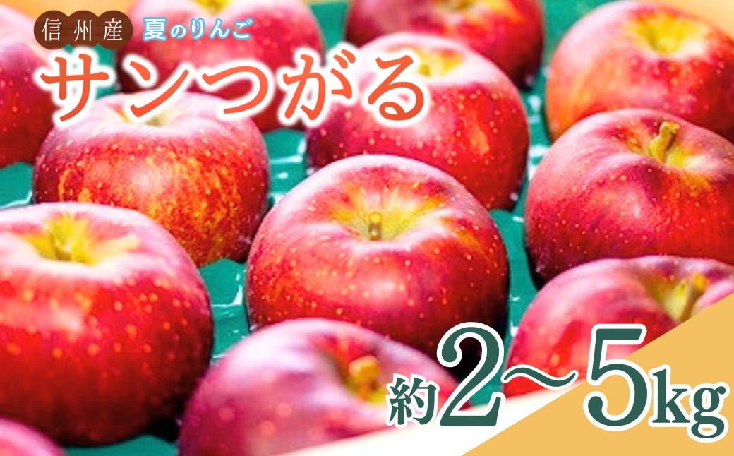 
                  【2026年先行予約】夏のりんご サンつがる 約2kg/約3kg/約5kg | 信州りんご 長野りんご リンゴ 林檎 千曲市 長野県産 信州
                