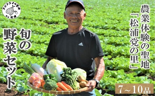 
            農漁村体験の聖地「松浦党の里」旬の野菜セット( 野菜 旬 旬の野菜 野菜詰め合わせ 地元野菜 地元食材 松浦産 キャベツ 白菜 ブロッコリー ピーマン 白ネギ 人参 大根 ほうれん草 みかん ジャガイモ サツマイモ 九州 松浦市 )【B2-162】
          