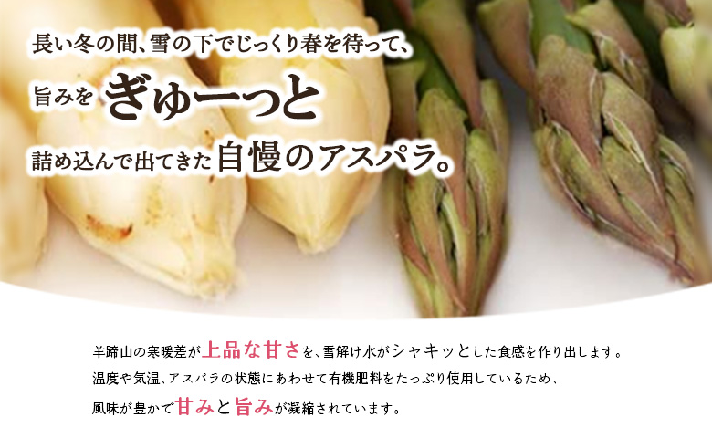 【先行予約】グリーンアスパラ 太物 L～2Lサイズ 1kg オンライン 申請 ふるさと納税 北海道 留寿都 アスパラ アスパラガス 野菜 春 旬野菜 季節野菜 産地直送 新鮮 採れたて サラダ おかず