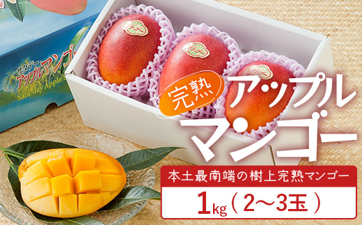≪先行予約・数量限定≫ ☆本土最南端☆佐多の果樹園で育てた 完熟アップルマンゴー 1kg (2～3玉) 【2026年7月上旬以降順次発送】｜鹿児島県 南大隅 産地直送 旬 マンゴー フルーツ 果物 くだもの  ST-7407