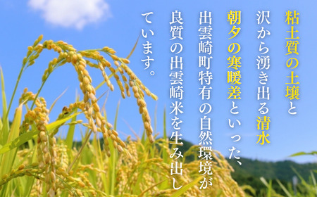 新米 新潟県産 「新之助」 5kg×6か月 出雲崎産 令和6年産 定期便 合計30kg