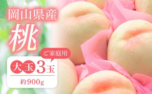 桃 2026年 ご家庭用 おかやま の 桃 大玉 3玉（合計約900g）【桃 もも 岡山県産 国産 フルーツ 果物 新鮮 おすすめ 人気 岡山県 岡山市 国産 大玉 】