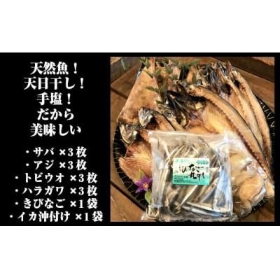 ふるさと納税 錦江町 一代目から続く製法!大満足の旬の干物セット (No.1084-1) |  | 03