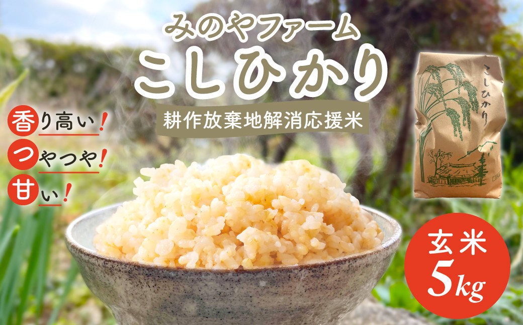 
            令和7年産新米 こしひかり 5ｋｇ（玄米） みのやファームの耕作放棄地解消応援米 【 コシヒカリ こしひかり おいしいお米 玄米 自然栽培 贈り物 ギフト 千葉県 御宿町 人気 おすすめ ランキング 】 ONJF006
          