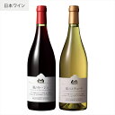 【ふるさと納税】ココワイン / 風のワインセット【 国産ワイン 日本ワイン 日本産ワイン 赤 白 ワイン わいん WINE セット ワインセット お酒 栃木県 足利市 国産 日本産 】