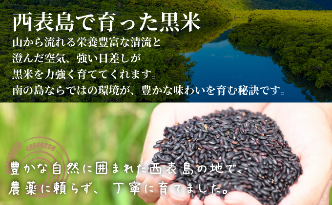 大浜農園の黒米8個セット (農薬不使用)