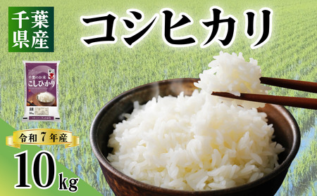 コシヒカリ 10kg 令和7年産 コシヒカリ